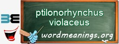 WordMeaning blackboard for ptilonorhynchus violaceus